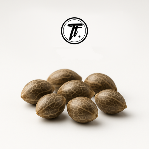 Tornado Terpz Seeds
